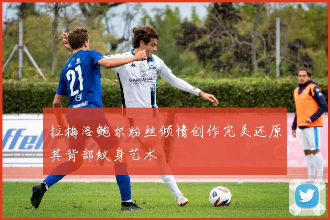 拉梅洛鲍尔粉丝倾情创作完美还原其背部纹身艺术