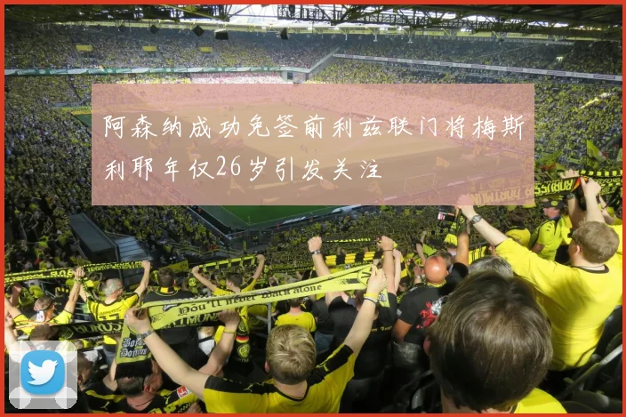 阿森纳成功免签前利兹联门将梅斯利耶年仅26岁引发关注
