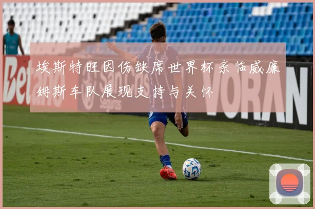 埃斯特旺因伤缺席世界杯亲临威廉姆斯车队展现支持与关怀