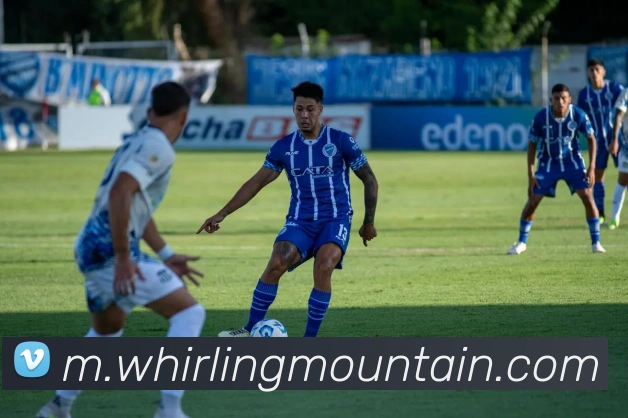 九游j9在线官网平台生态图